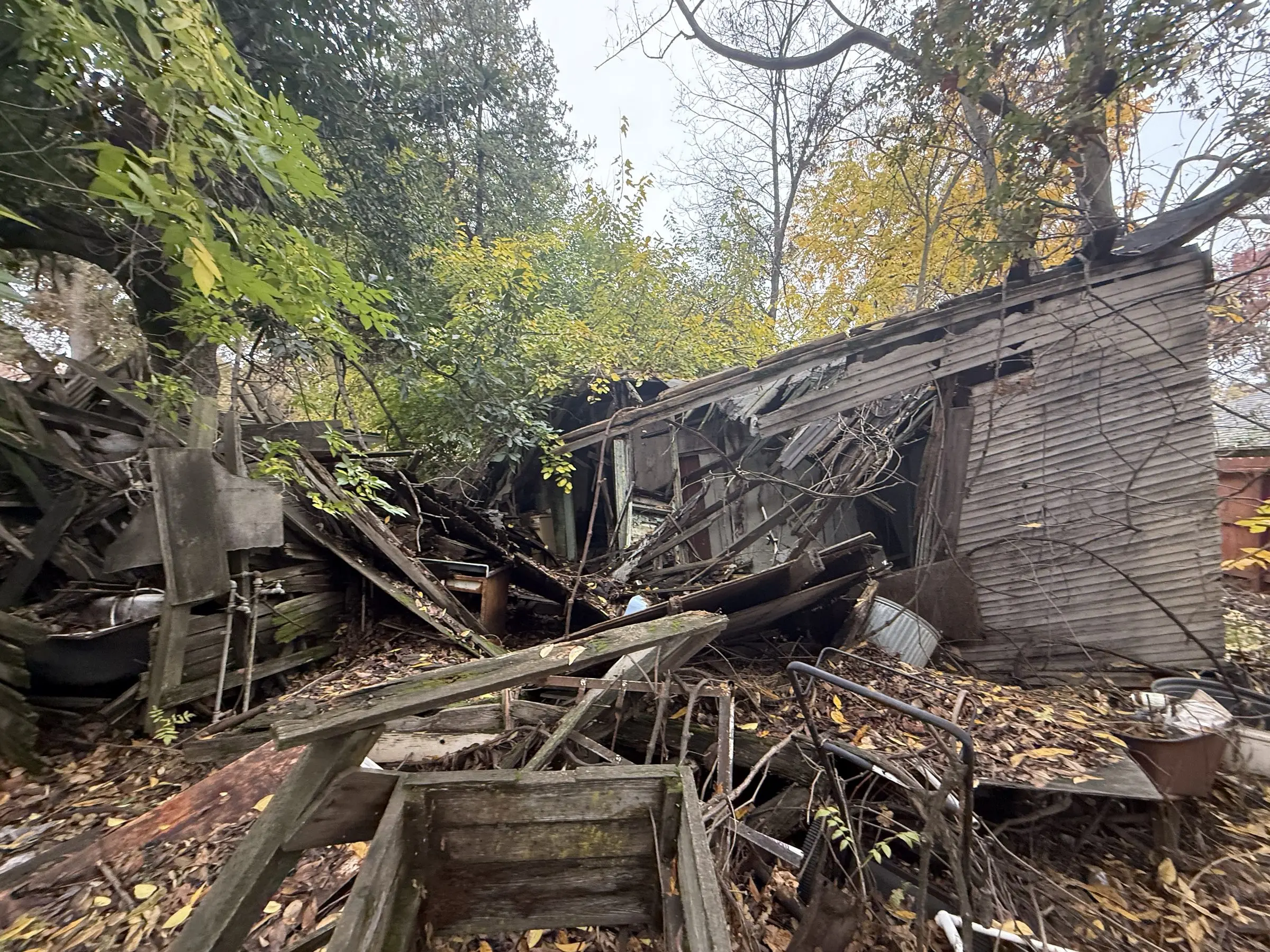 Collapsed wood structure buried in leaves and debris