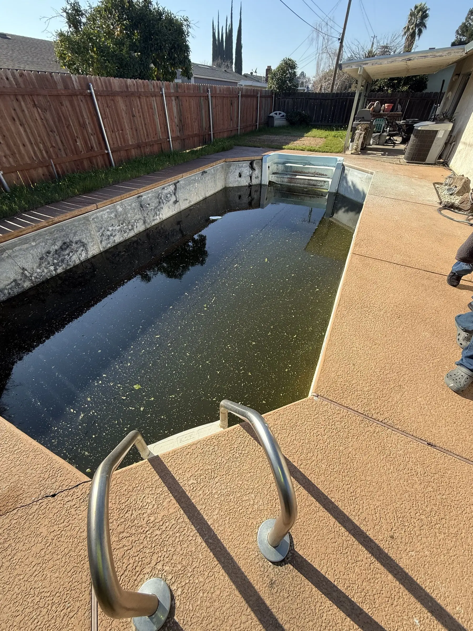 Backyard pool full of green water before demolition