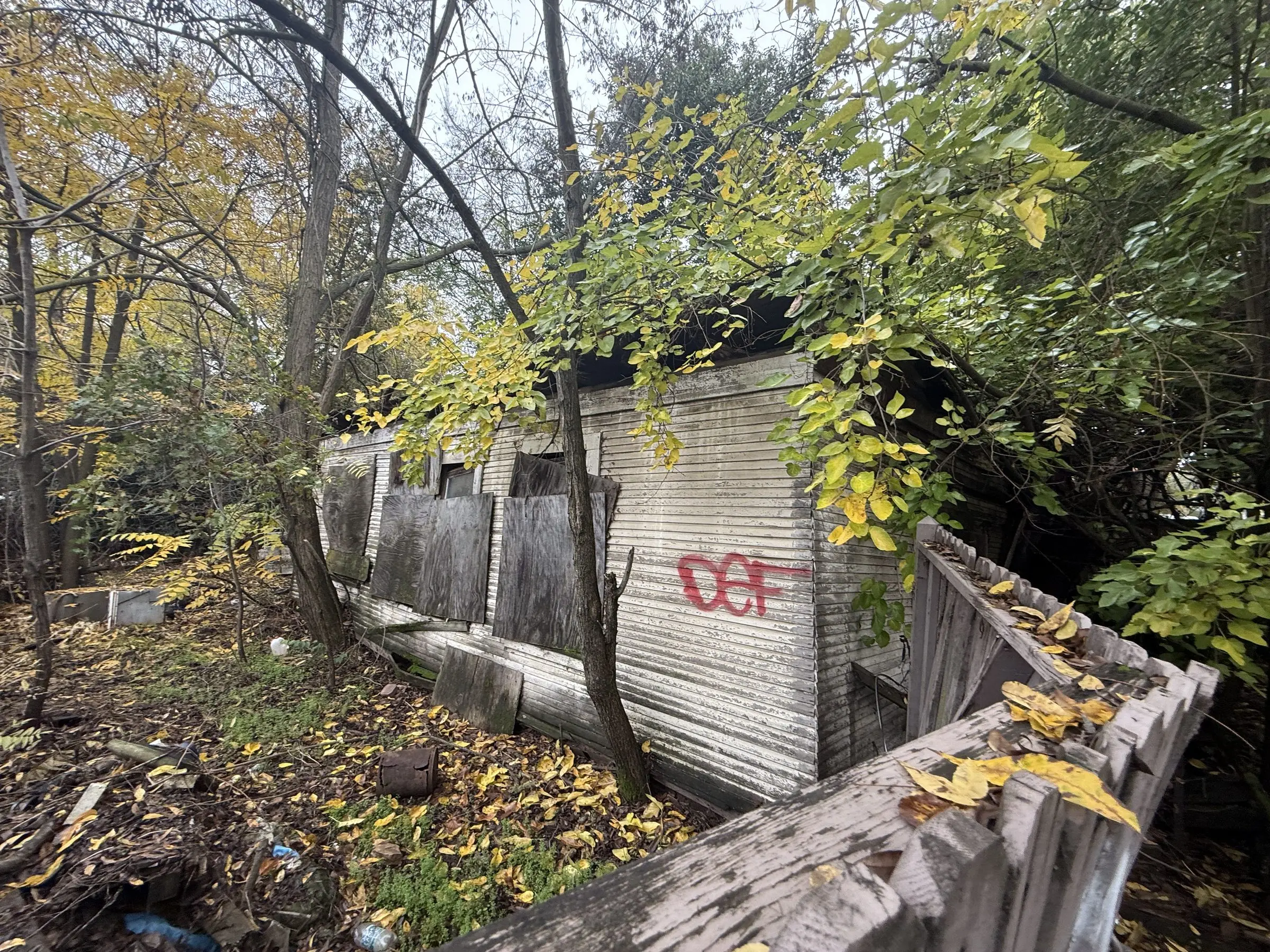 Overgrown, boarded-up structure before demolition